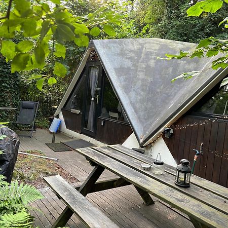 Chalet Scandinave Avec Sauna Ir - In The Woods Gesves Eksteriør bilde