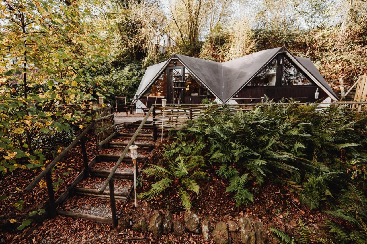 Chalet Scandinave Avec Sauna Ir - In The Woods Gesves Eksteriør bilde