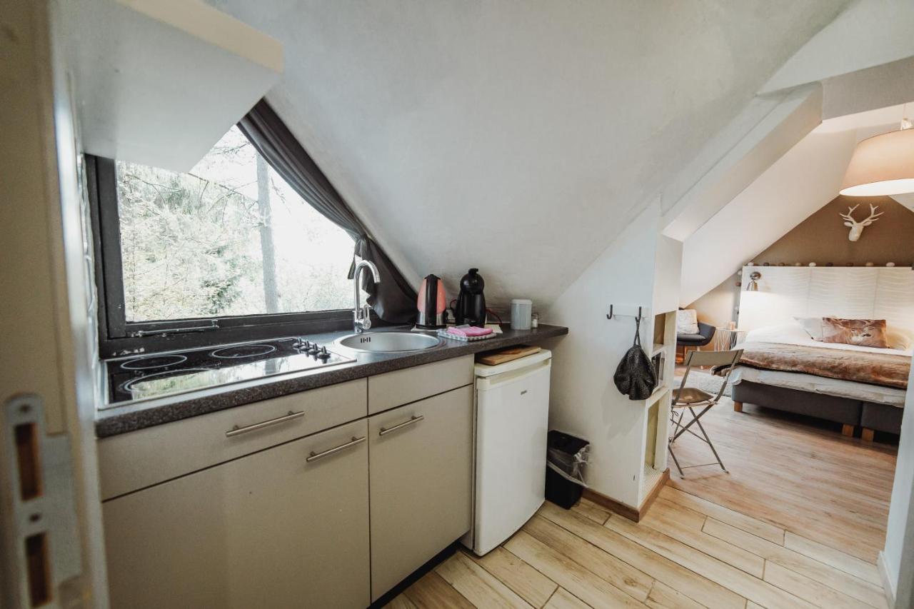 Chalet Scandinave Avec Sauna Ir - In The Woods Gesves Eksteriør bilde