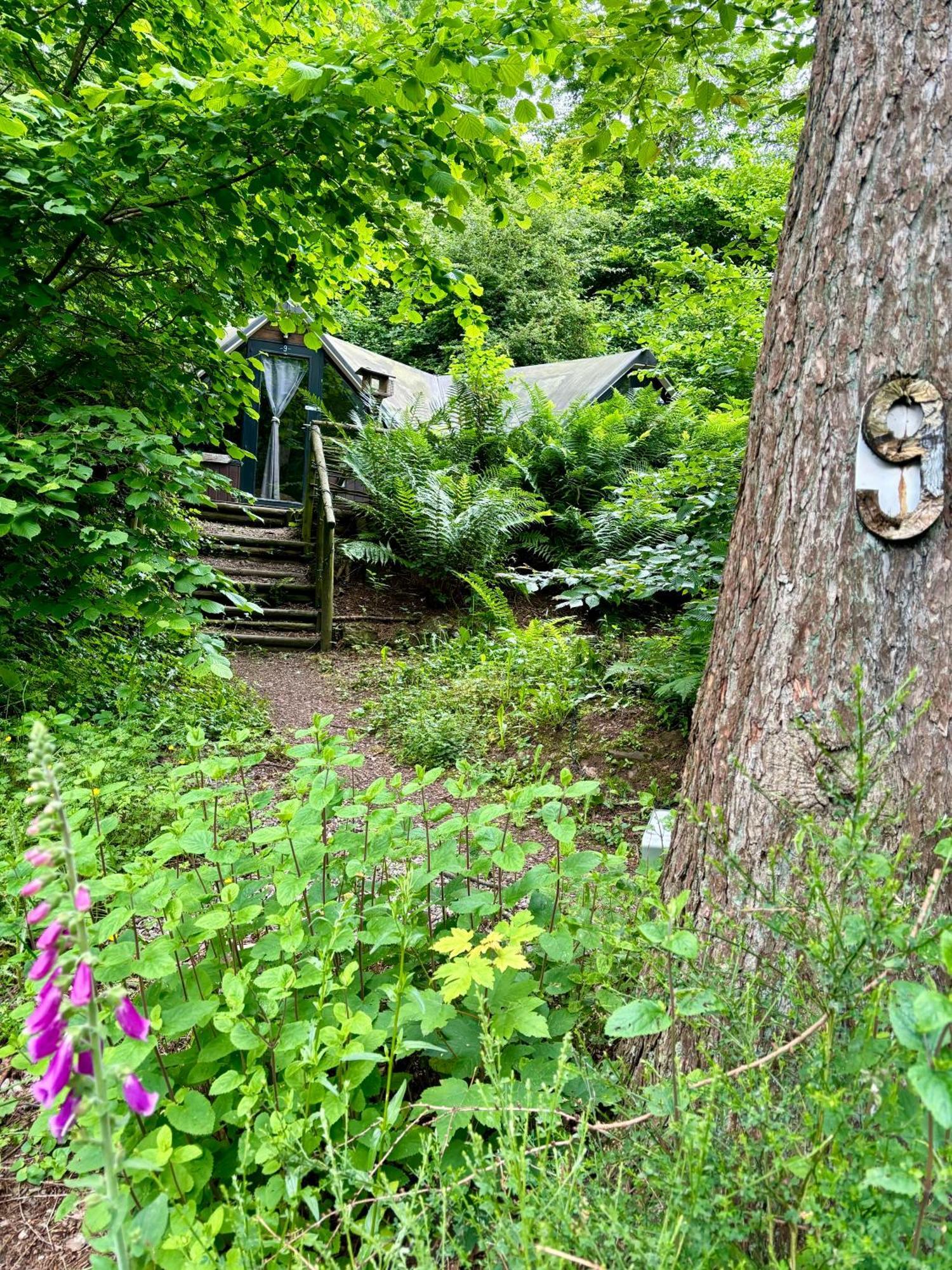 Chalet Scandinave Avec Sauna Ir - In The Woods Gesves Eksteriør bilde